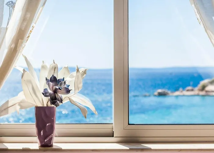 Suzy Apartment Split