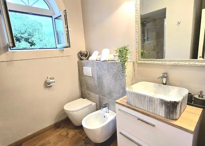 Suzy Apartment Split